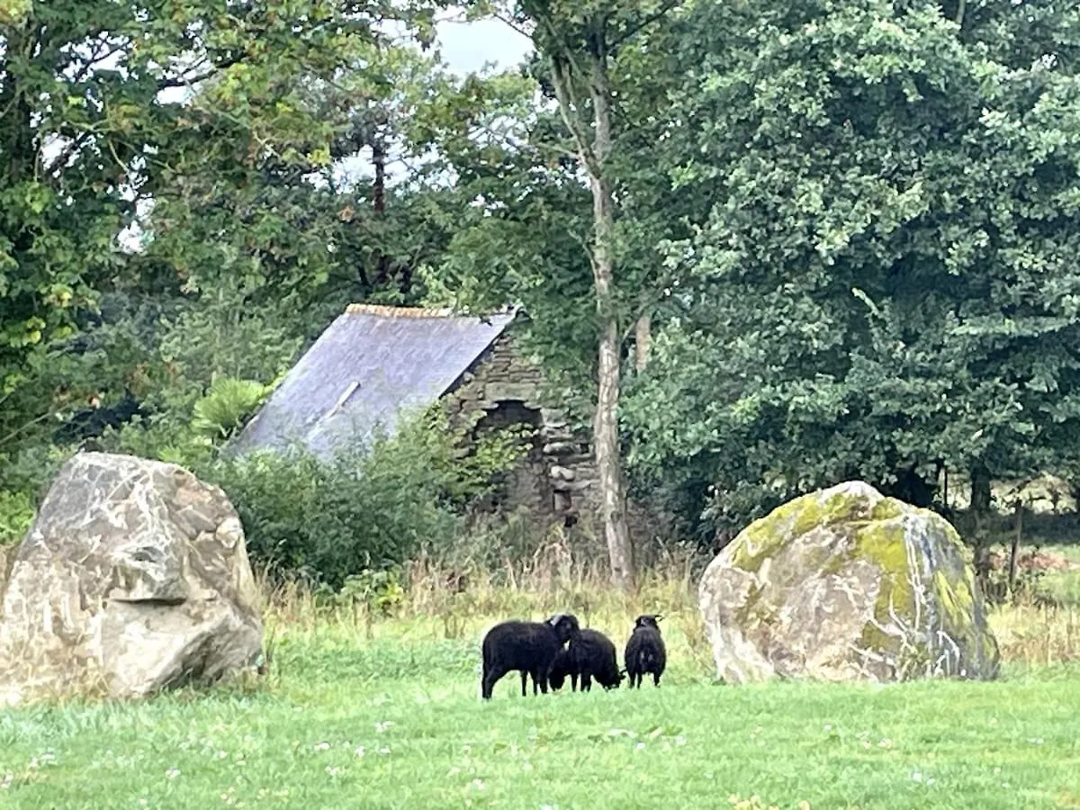 Villa Menhirs Et Moutons Ouessant Plouec-du-Trieux Francia